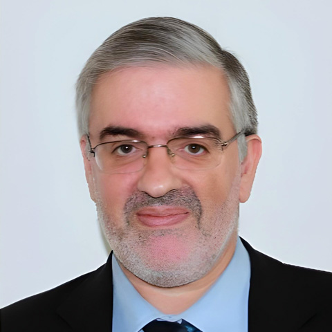 Dimitrios Vamvatsikos