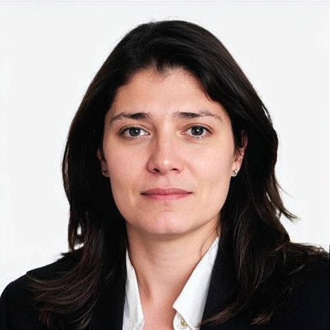 Eleni Vlahogianni